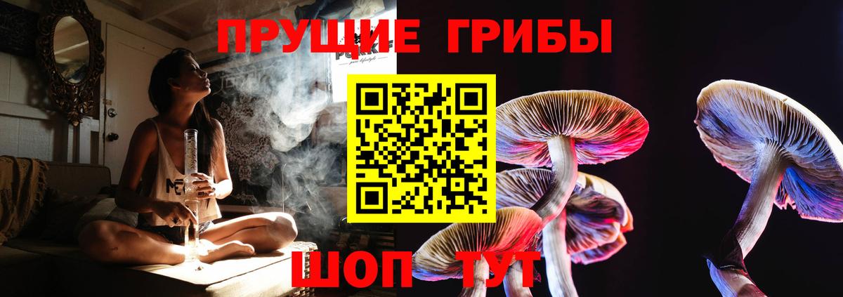 Псилоцибиновые грибы GOLDEN TEACHER Иваново